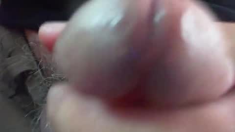 comox online show from 01.06.26