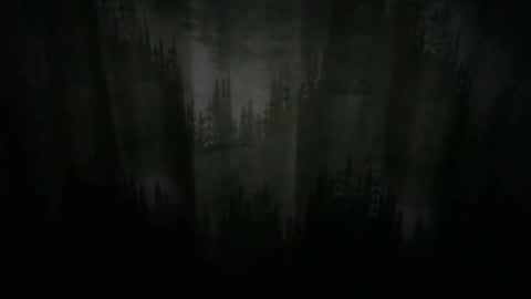 Cool Dude online show from 12.21.24