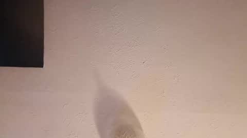 Snapshot of cooper_120805 chatting on 09.23.25 cooper_120805 online show from 09.23.25