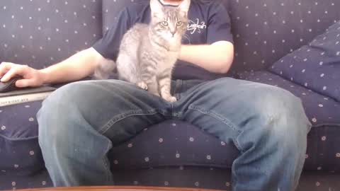 copper_crotch online show from 02.14.26