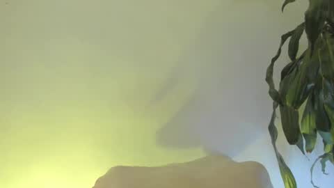 Snapshot of coral_princex chatting on 02.20.26 Coral princex online show from 02.20.26