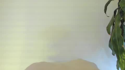 Snapshot of coral_princex chatting on 02.24.26 Coral princex online show from 02.24.26