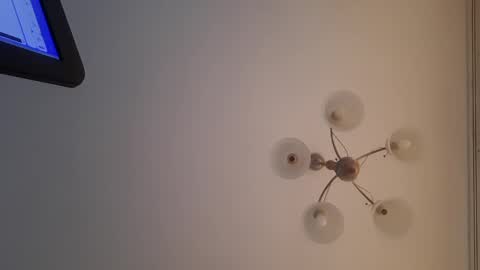 Snapshot of corvus4 chatting on 12.30.24 Corvus online show from 12.30.24