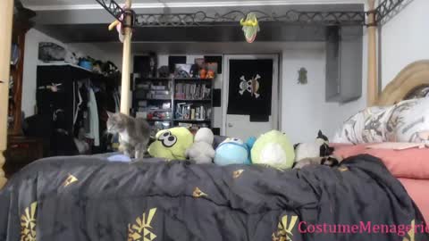 Amethyst Cox online show from 03.26.26