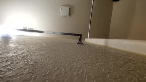 countdownsub online show from 01.12.25