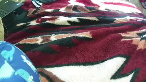 countryguy751601 online show from 03.21.26