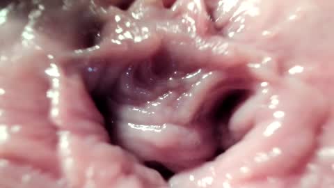 Im Courtney Nice to meet youFollow meInstagram courtneyluv778 online show from 01.22.25