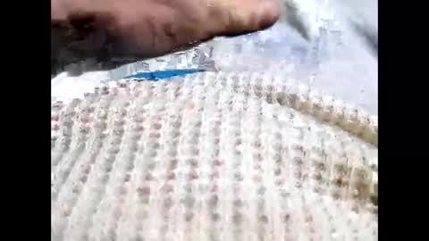 cowboyup696969723295 online show from 02.09.26