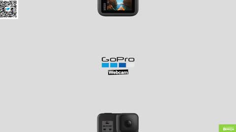 Crazy Ignites online show from 12.26.24