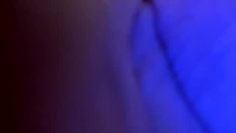 daddygee online show from 11.14.25