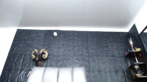 Hanna  online show from 04.21.26