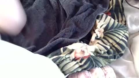 Crucifux online show from 01.30.25