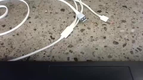 Snapshot of cruelworldxxx chatting on 02.22.26 cruelworldxxx online show from 02.22.26