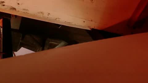 Snapshot of cryan78 chatting on 02.04.25 cryan96 online show from 02.04.25