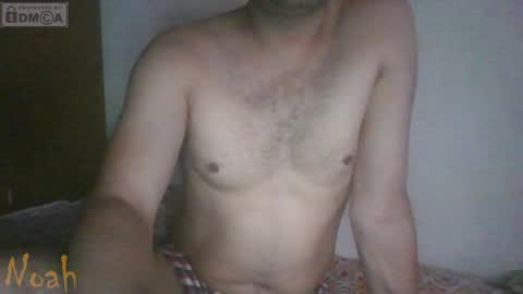 Noha online show from 04.08.26