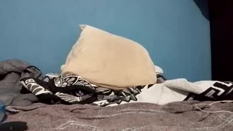 cumbian_chero online show from 02.22.25