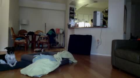 Snapshot of cumfiesta1 chatting on 01.01.25 cumfiesta1 online show from 01.01.25