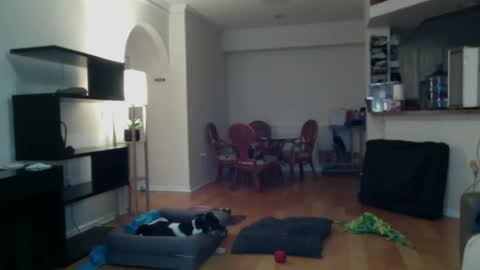 Snapshot of cumfiesta1 chatting on 02.02.25 cumfiesta1 online show from 02.02.25