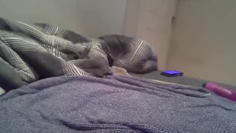 cummbumm69 online show from 02.14.26