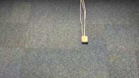 Snapshot of cumminghard269 chatting on 12.03.25 Brian online show from 12.03.25