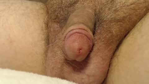 curve66 online show from 10.16.25