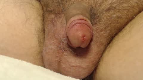 curve66 online show from 01.10.26