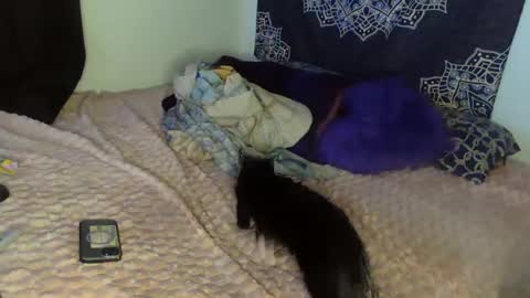 Snapshot of curvybcelinemixe chatting on 02.08.25 Cline  online show from 02.08.25