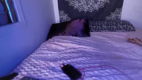 Snapshot of curvybcelinemixe chatting on 03.02.25 Cline  online show from 03.02.25