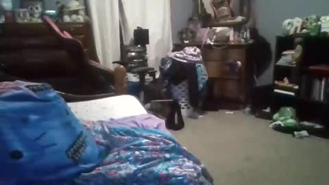 dahlia -kim online show from 12.24.24