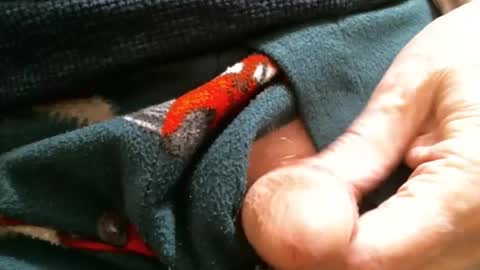 BI SMOOTH MATURE  SUB online show from 01.29.25