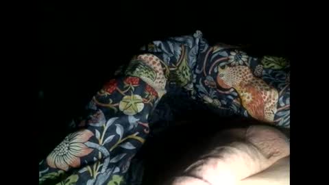 Snapshot of cutcockguy1975 chatting on 01.01.25 Steve online show from 01.01.25