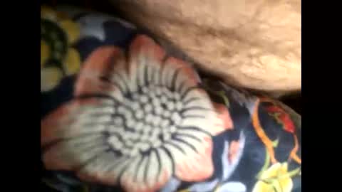 Snapshot of cutcockguy1975 chatting on 01.20.25 Steve online show from 01.20.25