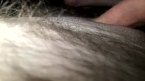 Snapshot of cutcockguy1975 chatting on 01.28.25 Steve online show from 01.28.25