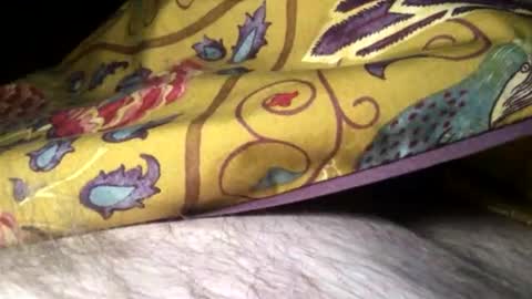 Snapshot of cutcockguy1975 chatting on 02.10.25 Steve online show from 02.10.25