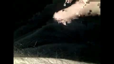 Snapshot of cutcockguy1975 chatting on 02.11.25 Steve online show from 02.11.25