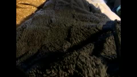 Snapshot of cutcockguy1975 chatting on 03.02.25 Steve online show from 03.02.25