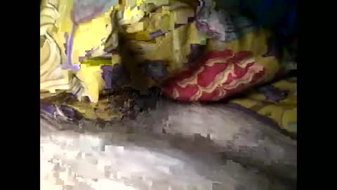 Snapshot of cutcockguy1975 chatting on 03.04.25 Steve online show from 03.04.25