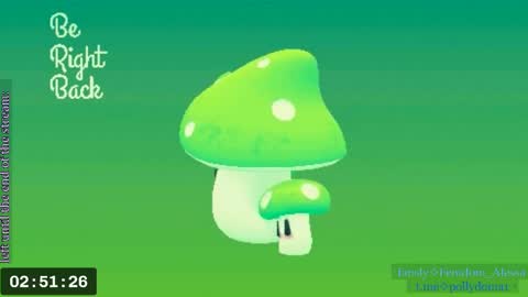 Snapshot of cute_baby_drug chatting on 05.18.26 Polly my Name. . online show from 05.18.26