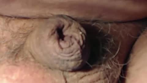 cute_stud1010 online show from 02.22.26