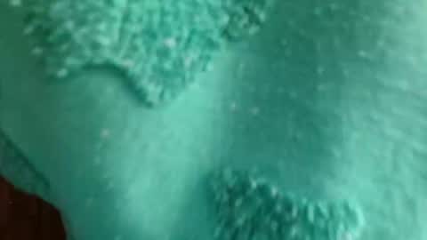 cutebuu online show from 11.21.25