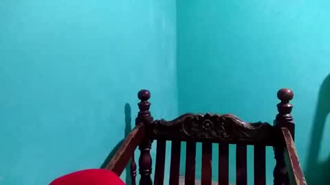 Snapshot of cutechey06 chatting on 01.04.25 Sky online show from 01.04.25