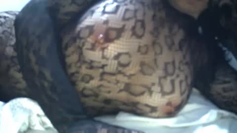 cyndy3393 online show from 04.21.26