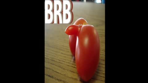 Dave online show from 04.15.26