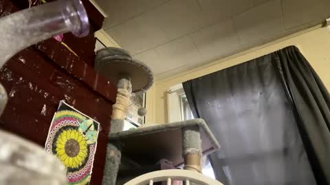 dabqueen_1994 online show from 04.09.26