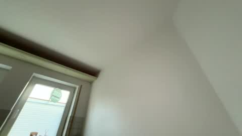 Dachdecker online show from 08.02.26