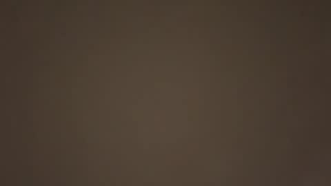 Daddy online show from 01.17.26