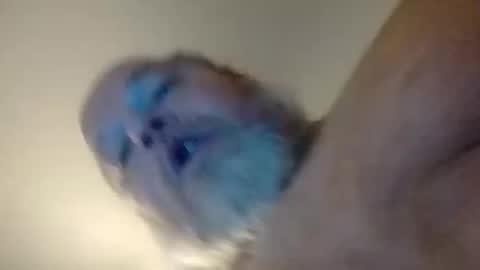 Daddyshome4115 online show from 12.20.25