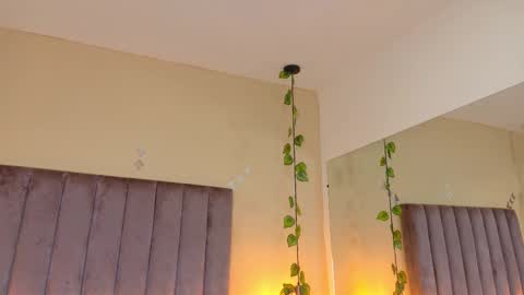 Dahlia online show from 03.29.26