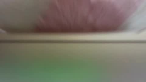 Daisy online show from 03.19.26