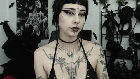 dakota online show from 07.04.26